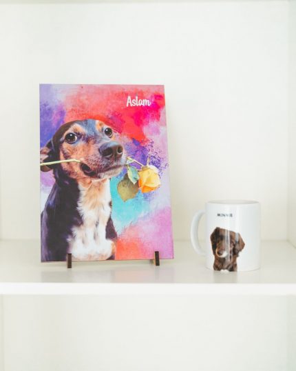 Plaquinha Pet Personalizada 20x28