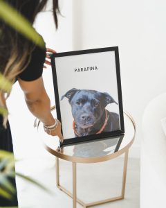 Quadro pet personalizado com moldura e vidro acrílico 30x40 - Imagem 7
