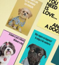 Plaquinha Pet Cuidado com cão - Imagem 3