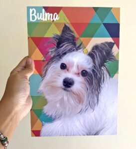 Plaquinha Pet Personalizada 20x28 - Imagem 5