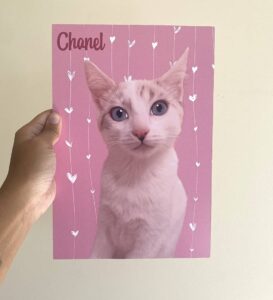 Plaquinha Pet Personalizada 20x28 - Imagem 4